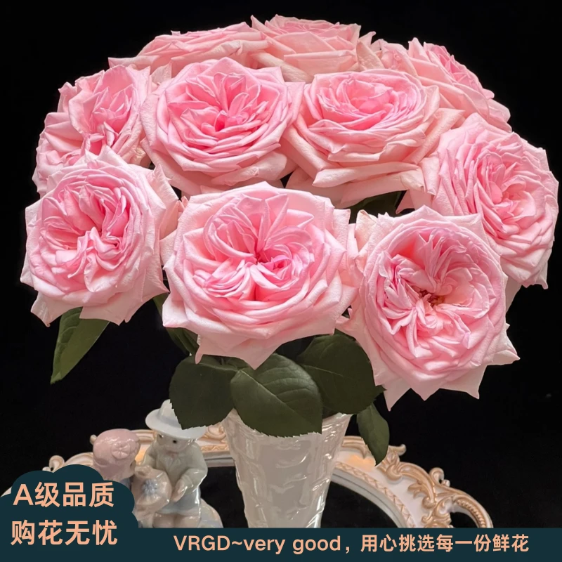 A级粉荔枝玫瑰鲜花居家庭插花送亲友VRGD瑧选品质顺丰包邮