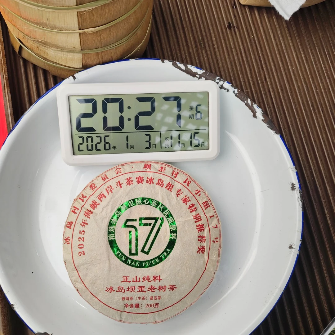 【2459号】2025年  云龙号 冰岛坝歪二类古树 茶农福利 普洱茶生茶