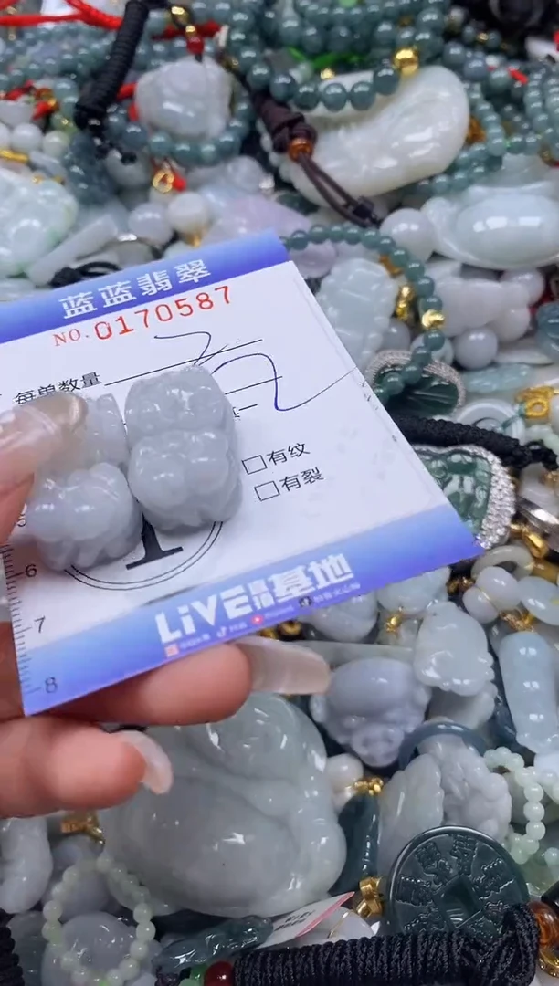【闪购商品】翡翠颈饰未镶嵌闪购0170587