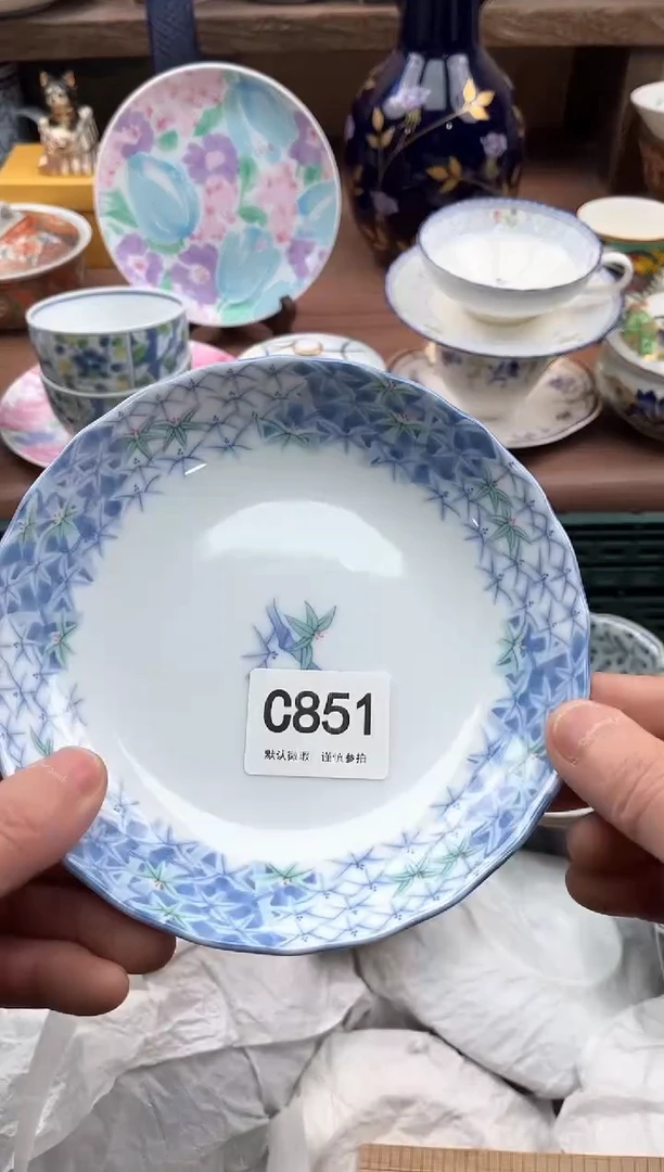 【闪购商品】瓷片851