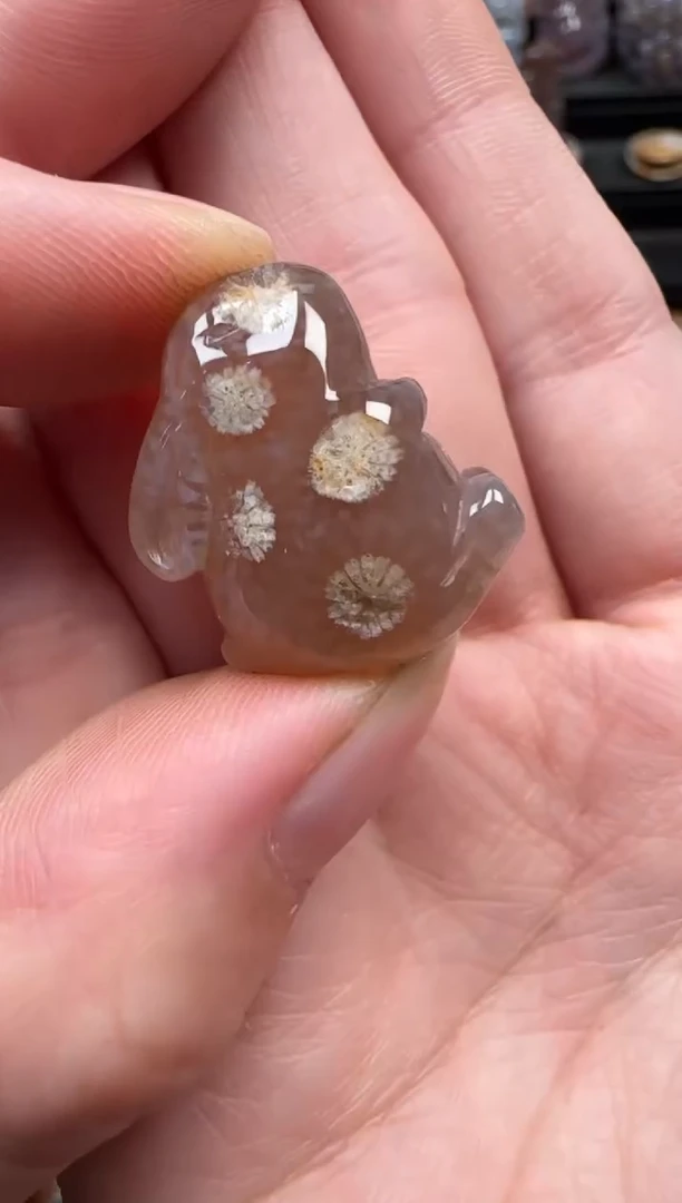 颈饰未镶嵌硅化珊瑚（珊瑚玉）123