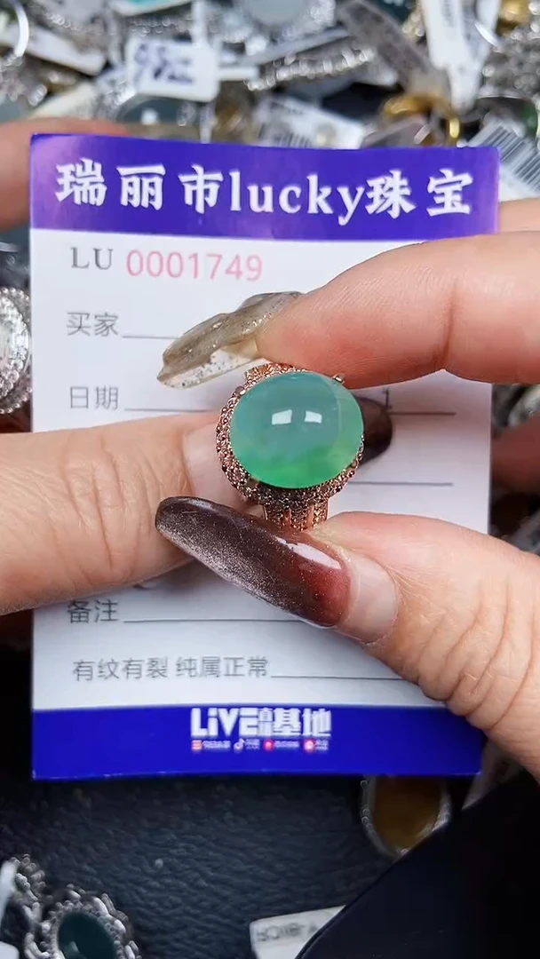 颈饰未镶嵌翡翠1749