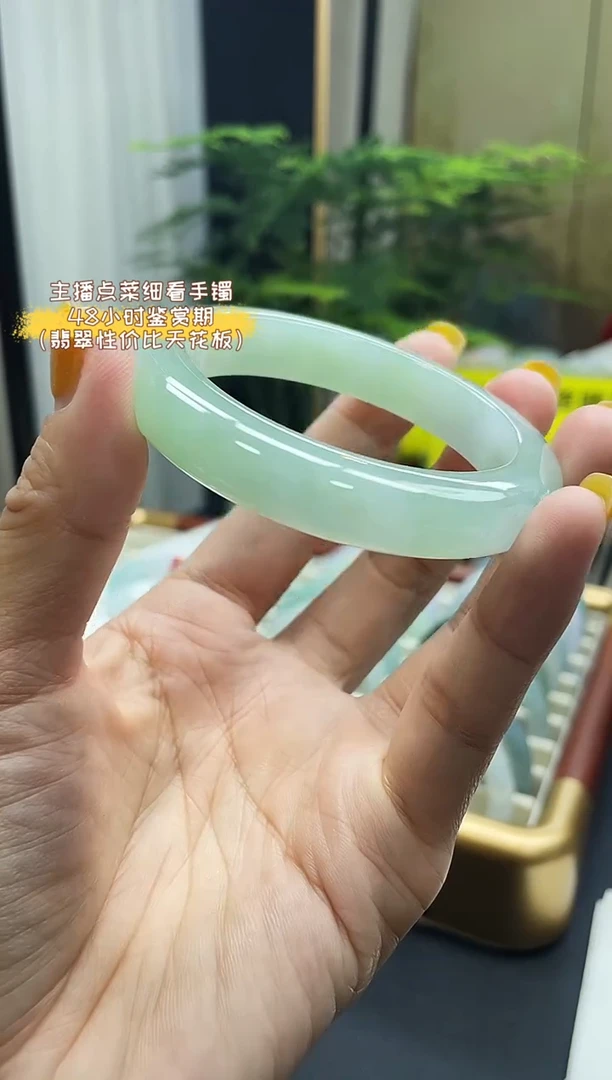 未镶嵌手镯翡翠53.54 10号