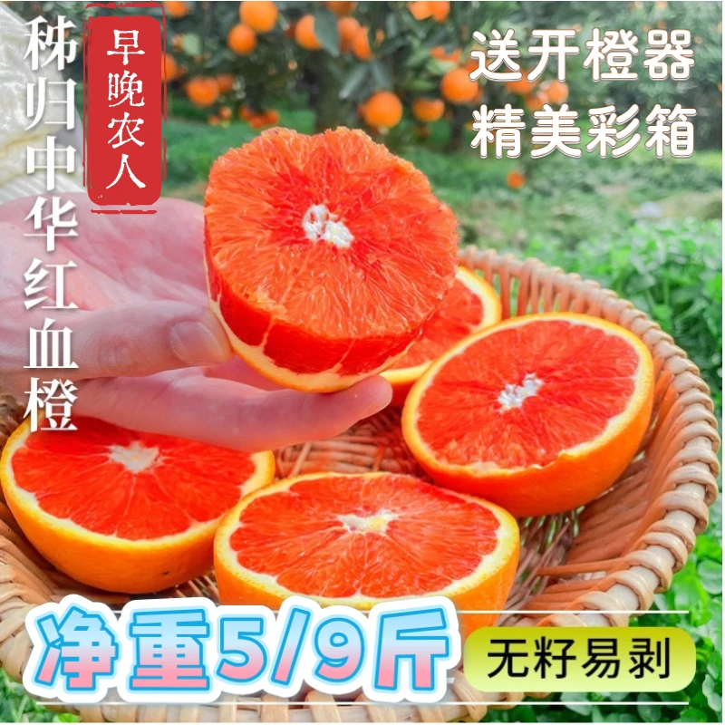正宗秭归中华血红橙脐橙子酸甜多汁新鲜现摘现发生鲜水果坏果包赔