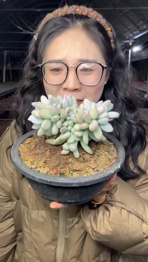 【闪购商品】34-三日月缀16.8