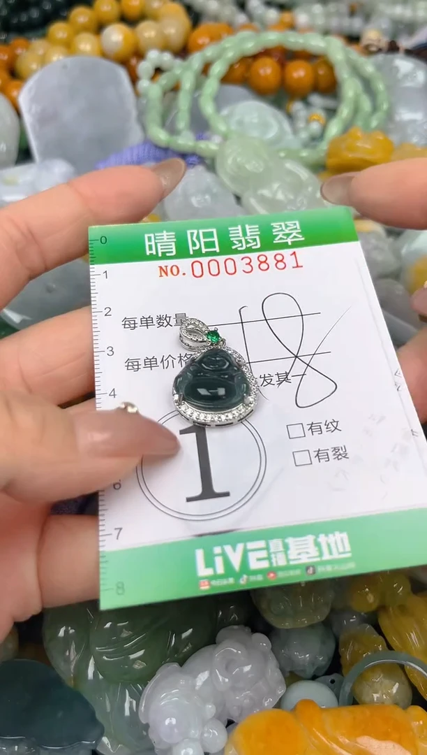 颈饰未镶嵌翡翠闪购0003881