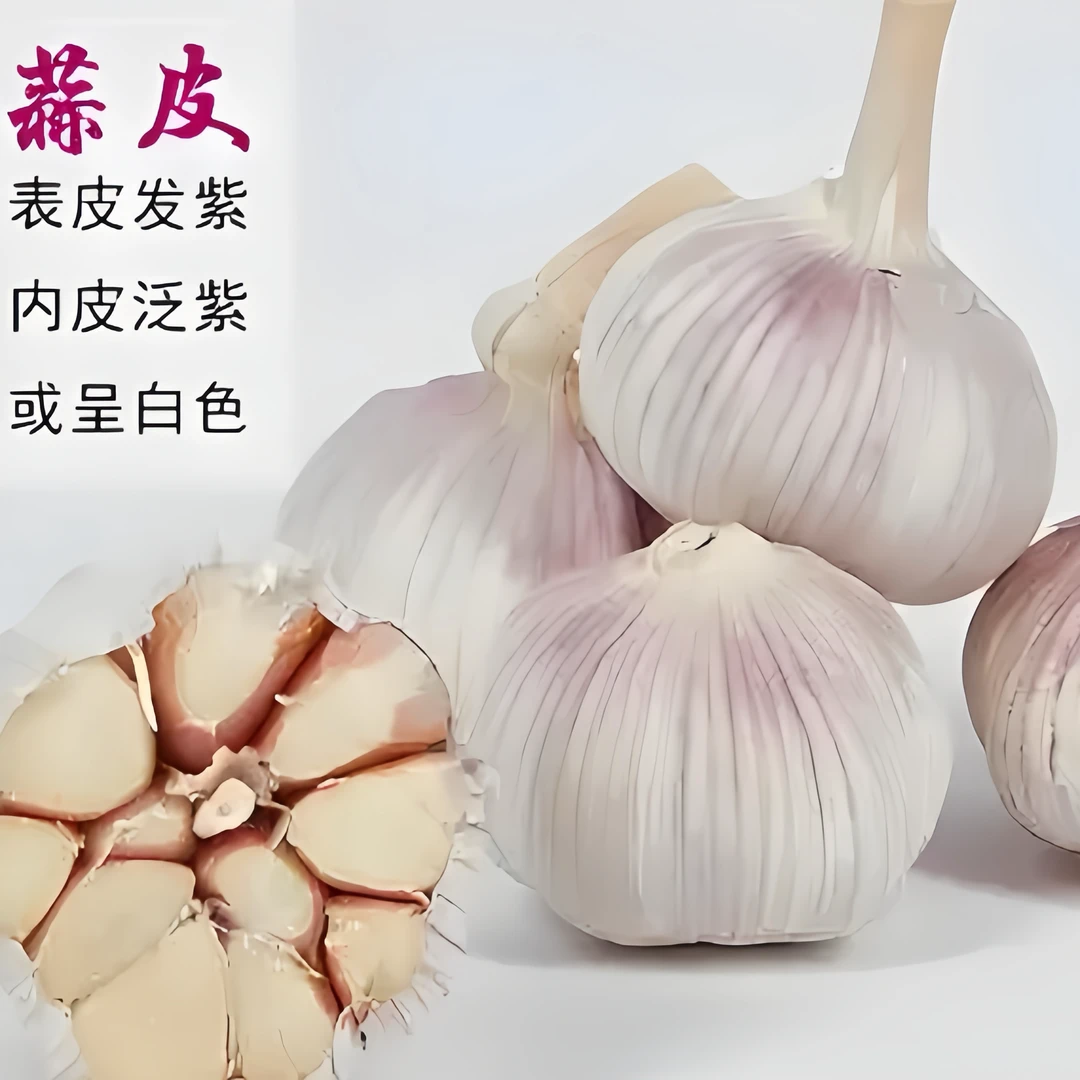 河南紫白皮大蒜（2025新蒜）农家自种  产地直发5斤包邮
