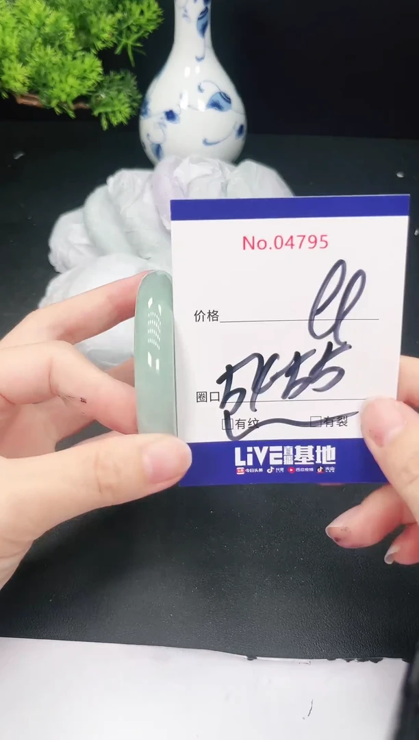 未镶嵌手镯翡翠4795