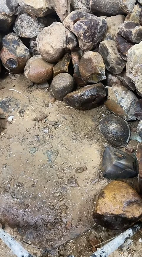 定制玛瑙继**焙56*2镯4002183