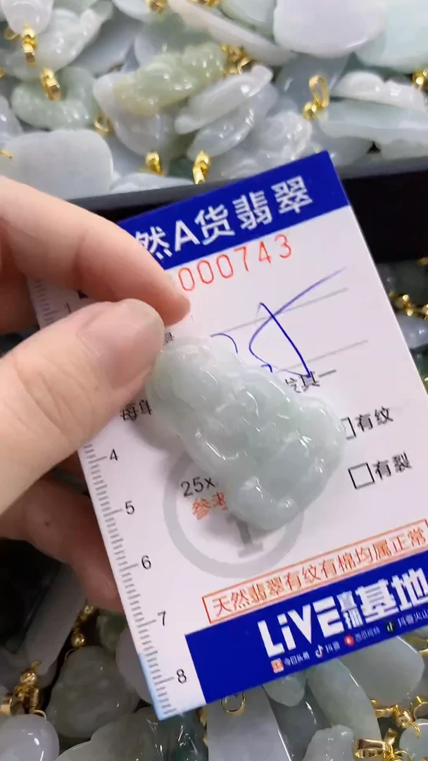 颈饰未镶嵌翡翠天然A货翡翠