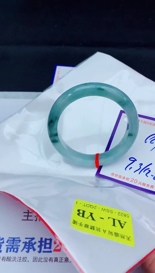 未镶嵌手镯翡翠11111111111