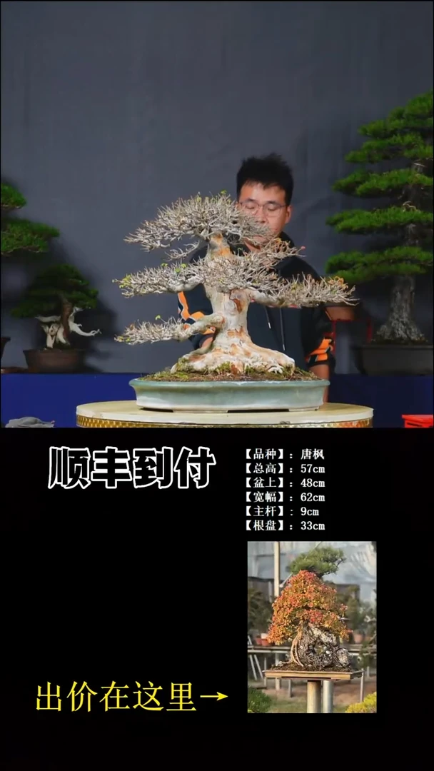 以实际为准唐枫buaboyou