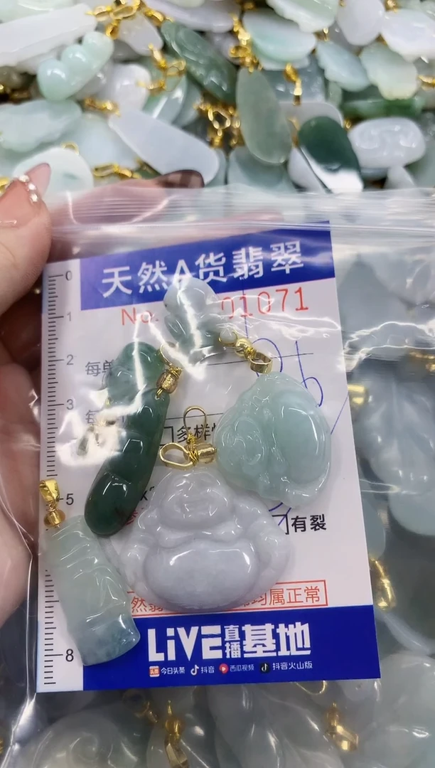 颈饰未镶嵌翡翠P***y天然A货翡翠