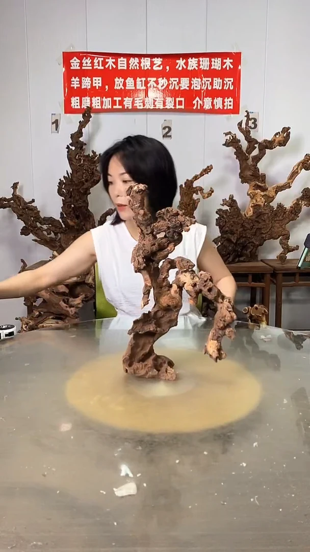 香榧木金*戈金丝红木   羊蹄甲