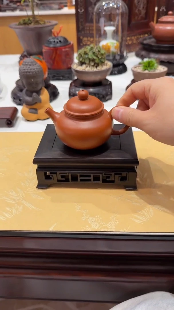 紫砂1紫砂紫砂紫砂紫砂紫砂