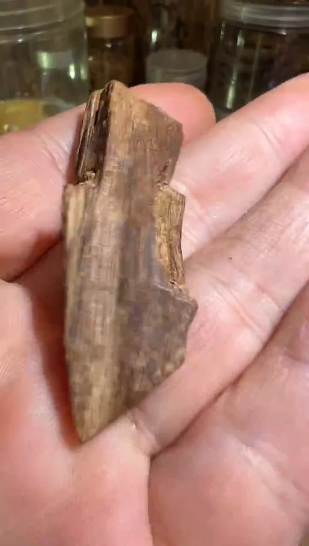 沉香沉香碎屑柬埔寨4.8克