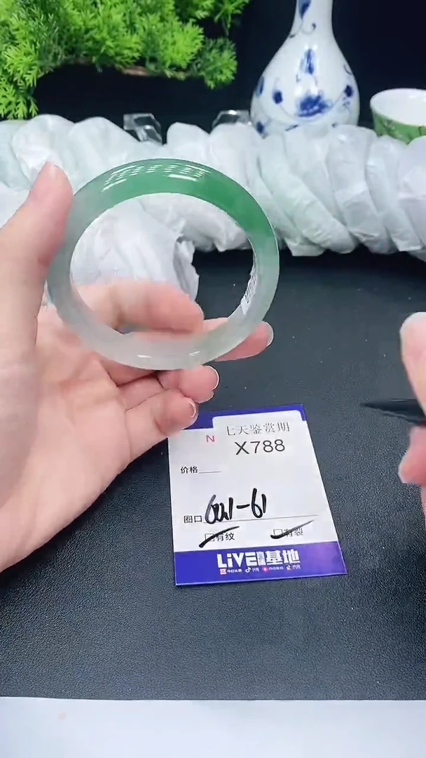 未镶嵌手镯翡翠788