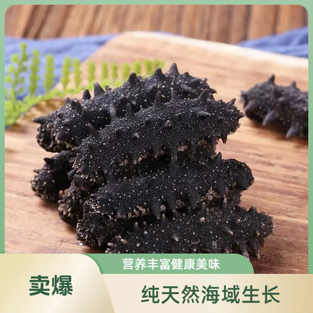 淡干海参大连海参辽刺参