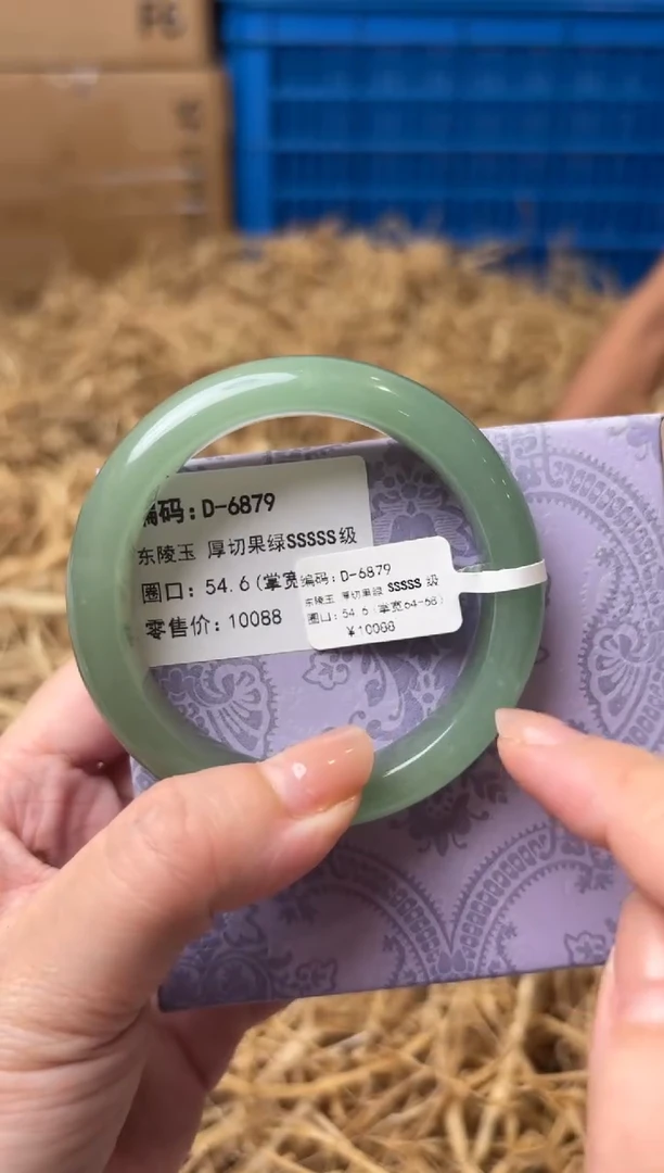 未镶嵌手镯石英质玉D-6879