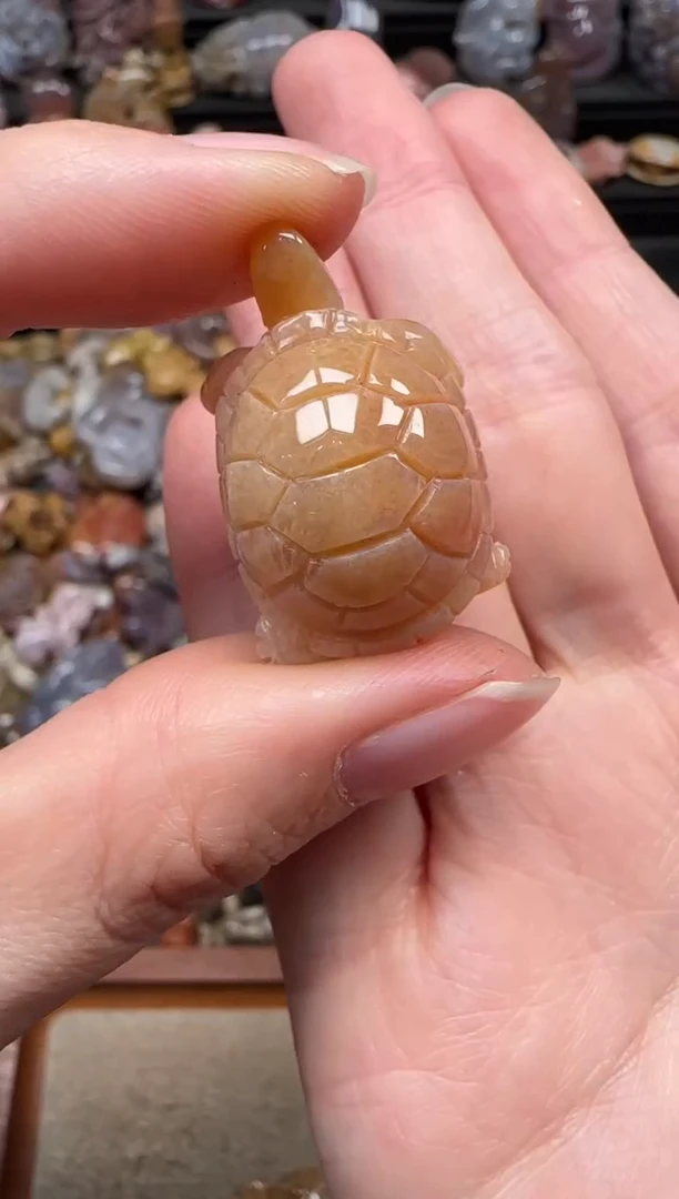 颈饰未镶嵌硅化珊瑚（珊瑚玉）841