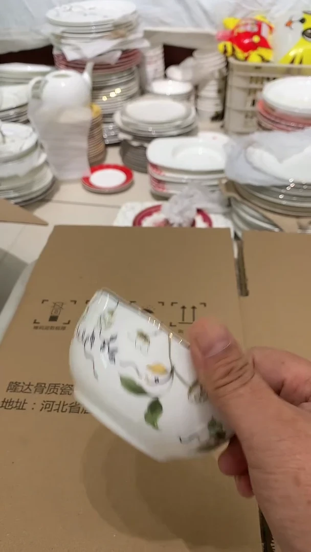 骨瓷香榭丽12鱼盘