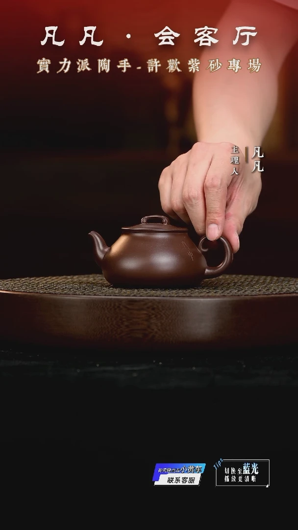 茶壶紫砂XH01许欢丙申七十二变老紫泥200cc
