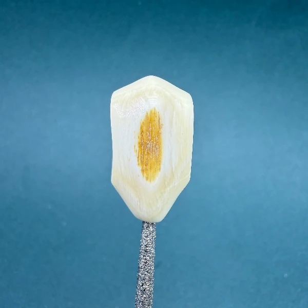 M1982天然猛犸牙5A鲨鱼背三通13.1*23.8 支持鉴定假一罚四