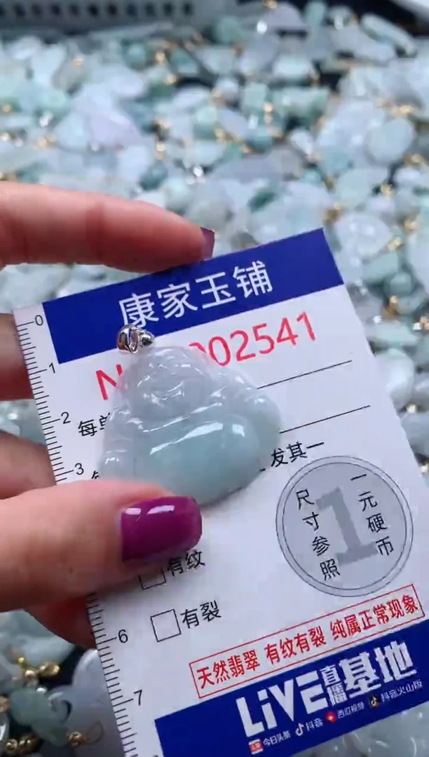 颈饰未镶嵌翡翠2541