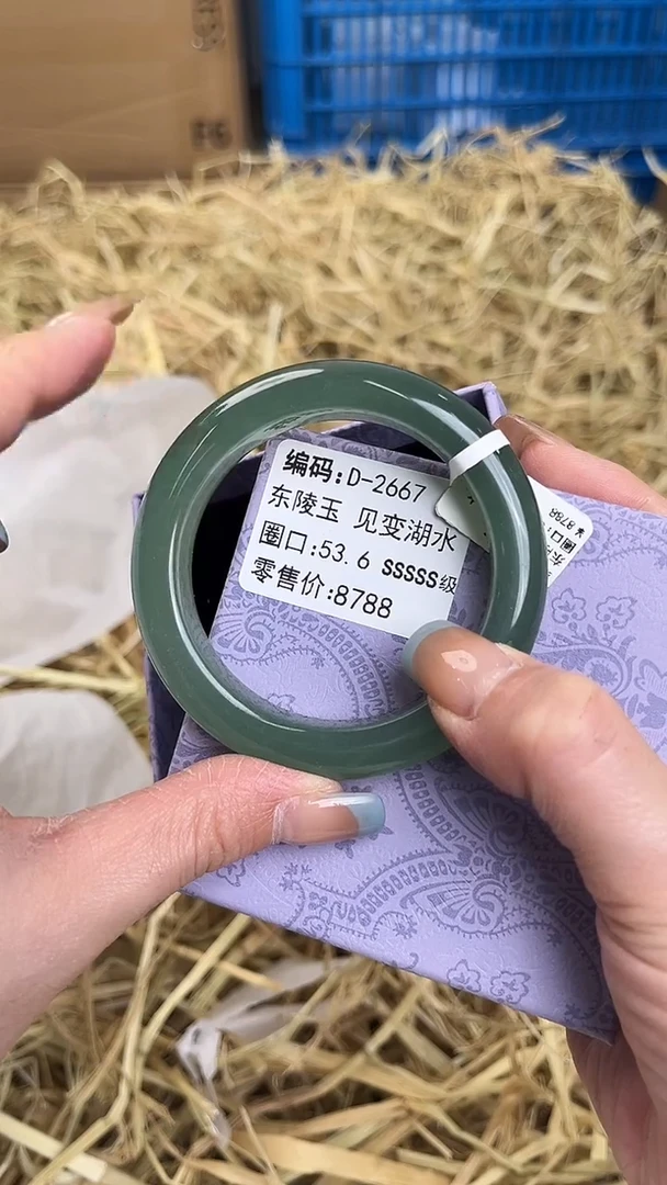 未镶嵌手镯石英质玉D-2667