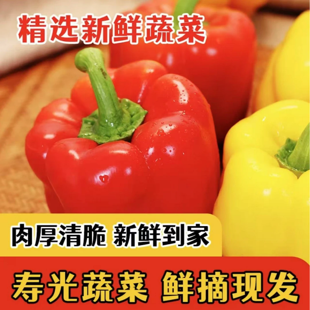 寿光斟灌现摘速发红黄双色五彩水果椒甜口健康绿色维生素小甜点