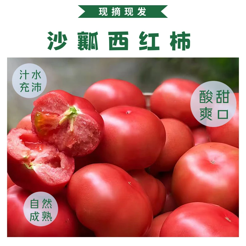 沙瓤西红柿粉果多汁草莓心水果蔬菜酸甜美味大番茄当季自然熟