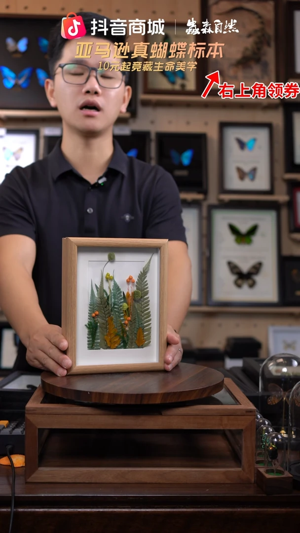 干制植物标本摆件春