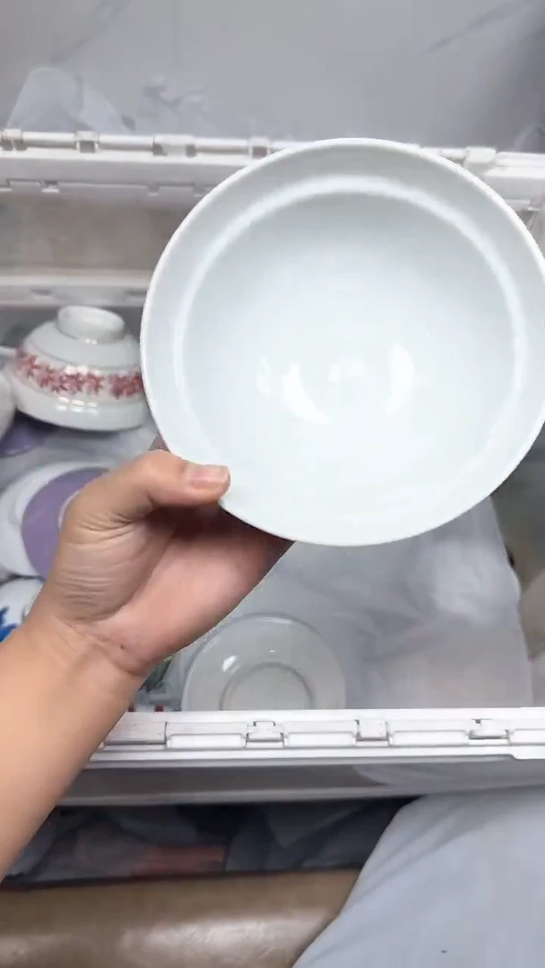 【闪购商品】471回流瓷器默认微瑕，18.8包邮