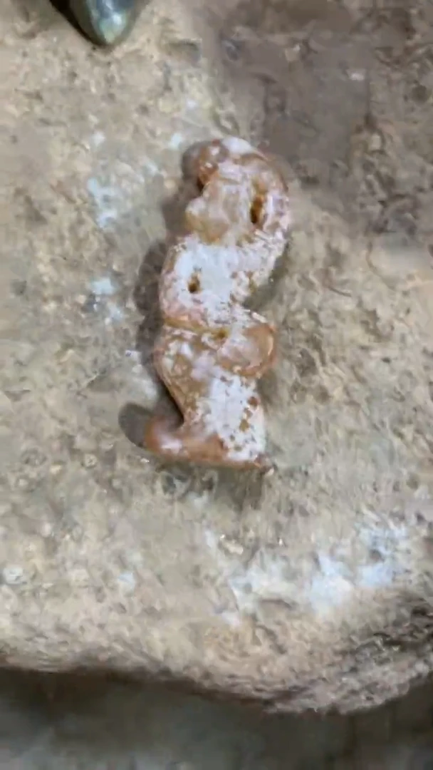 瓷片手工，手绘，陶瓷