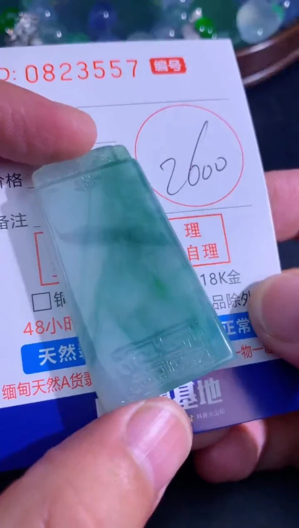 颈饰未镶嵌翡翠天然A货翡翠
