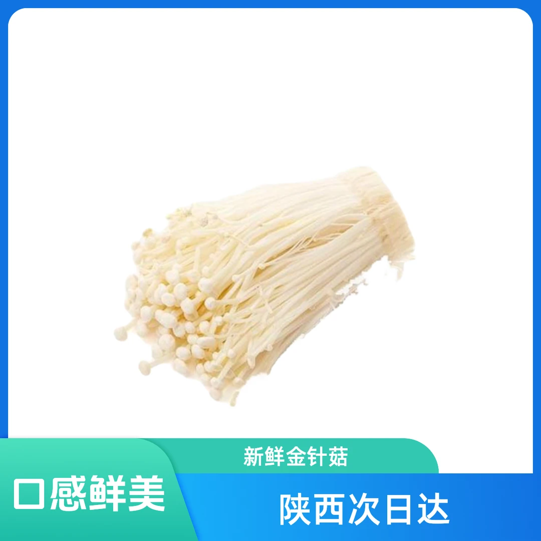 （陕西次日达）新鲜金针菇250g 供应链直发