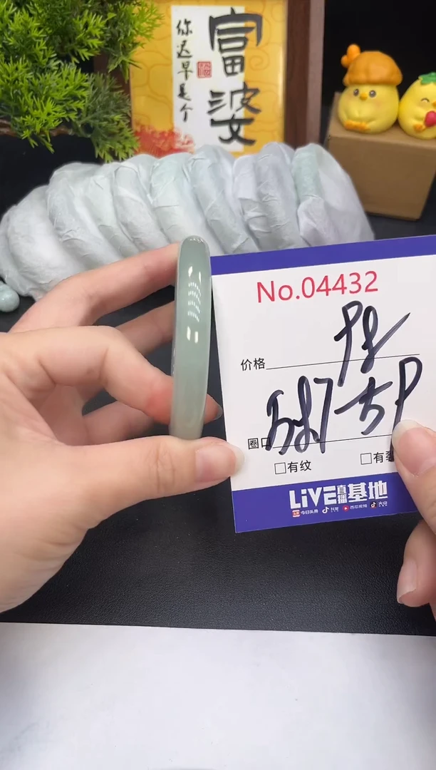 未镶嵌手镯翡翠4432