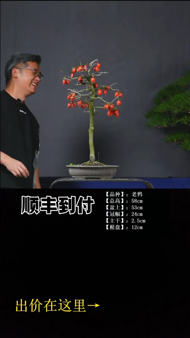 无花朵c386老鸦buaboyou