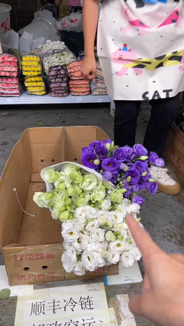 洋桔梗800克3扎（白+绿+紫）