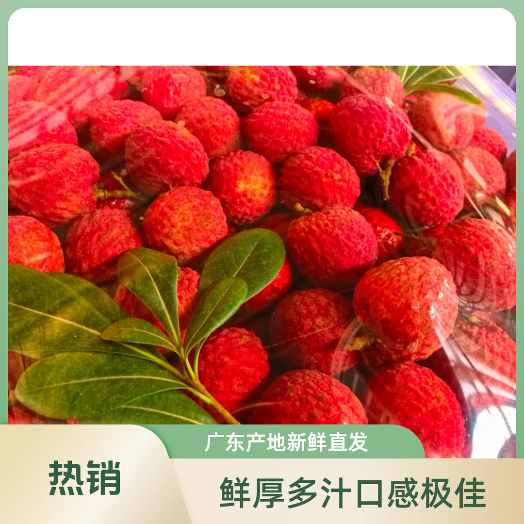 皮薄肉厚核小多汁广东仙进奉荔枝产地直发现摘单果25g - 30g荔枝广东省