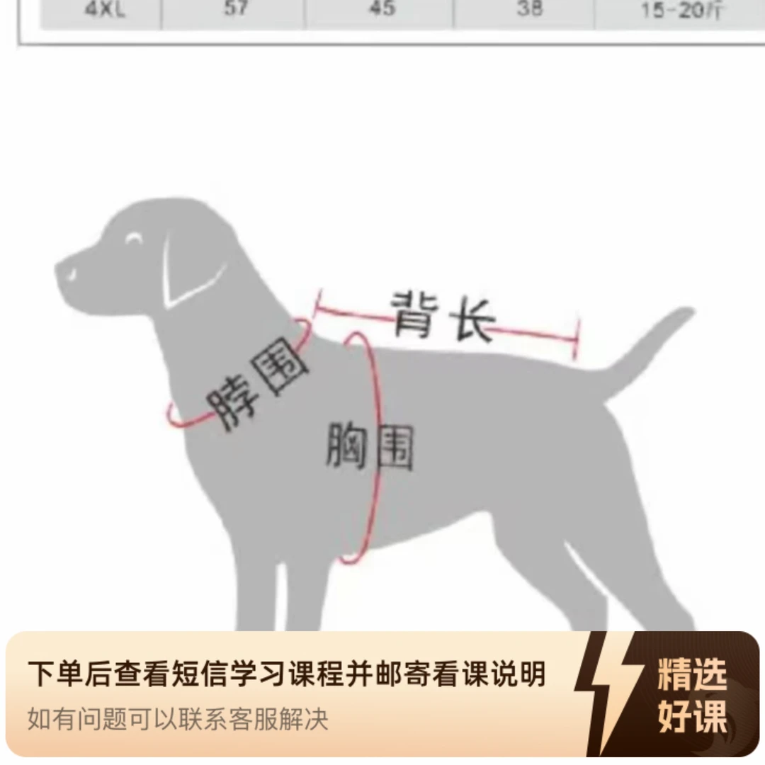 张姐各款打版教程（留意短信解锁课程）