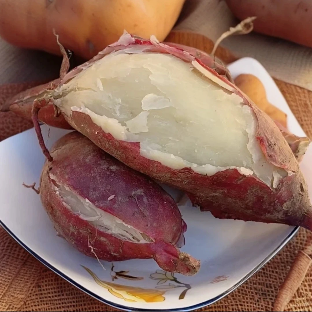 【福利价！】红皮白心红薯原产地现挖现发当季地瓜番薯板栗风味十足