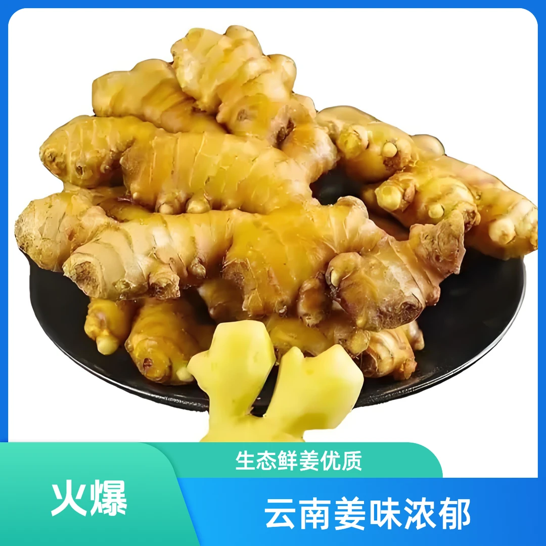云南小黄姜生姜老姜月子姜辛辣姜鲜姜生态姜现挖现姜味浓郁高品质
