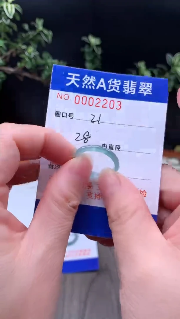 未镶嵌戒指翡翠21#