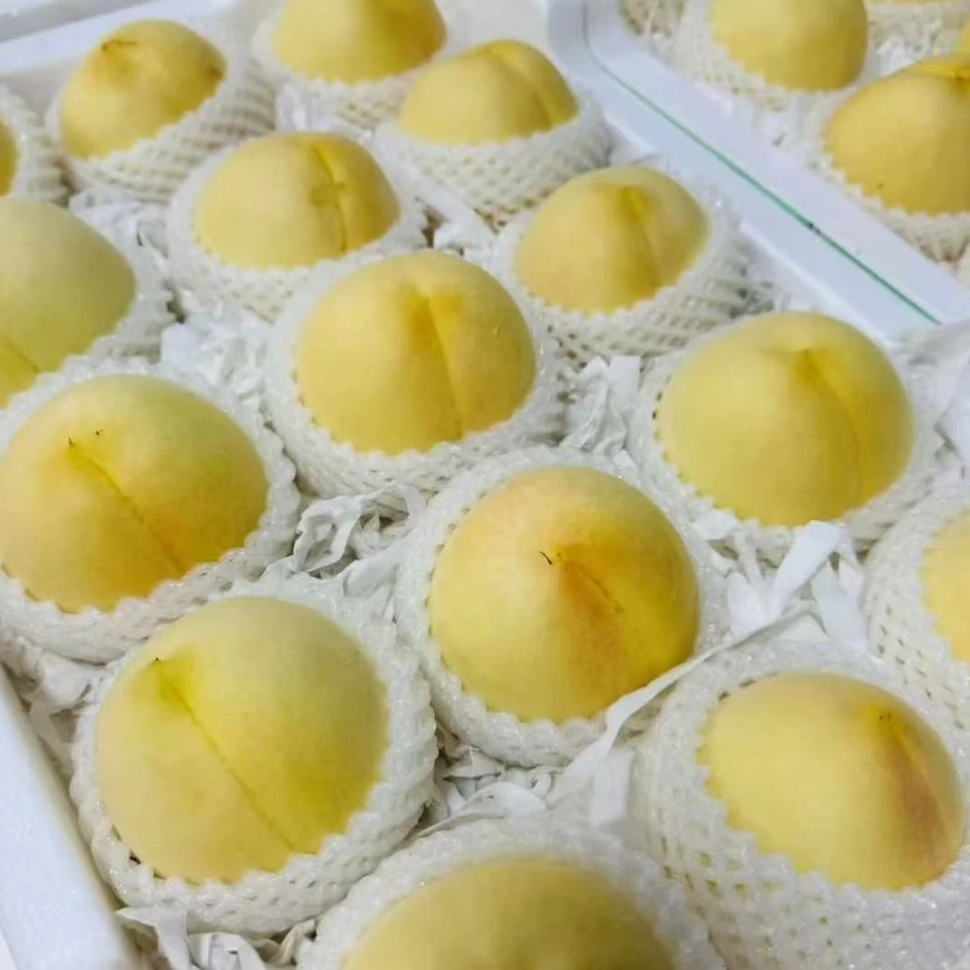 【顺丰】新沂白凤水蜜桃 一箱13个净5.3斤/7个净3斤 （仅发南京）