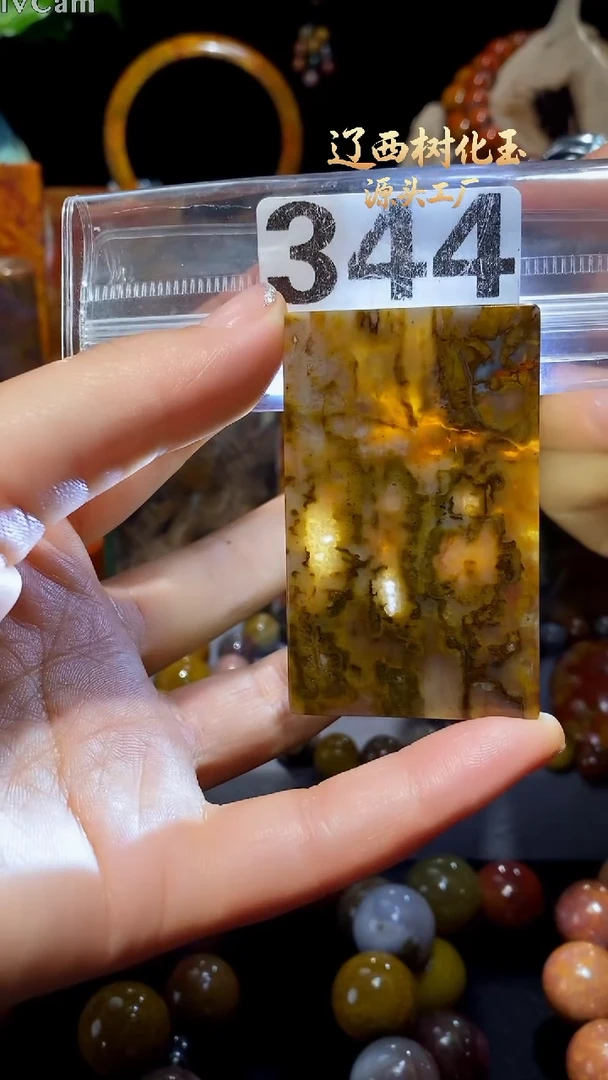 未镶嵌-硅化玉天然北票硅化玉吊坠