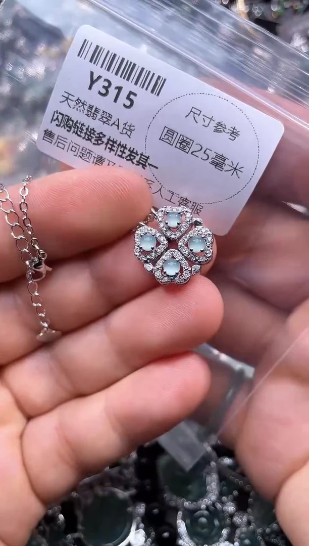 【闪购商品】翡翠颈饰未镶嵌Y315项链