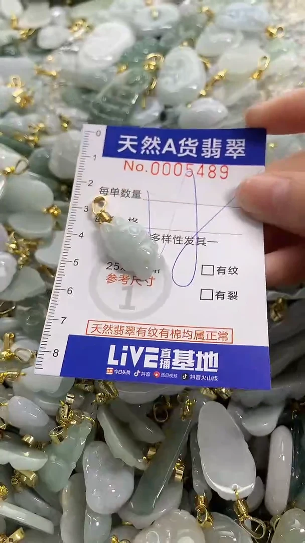 颈饰未镶嵌翡翠天然A货翡翠