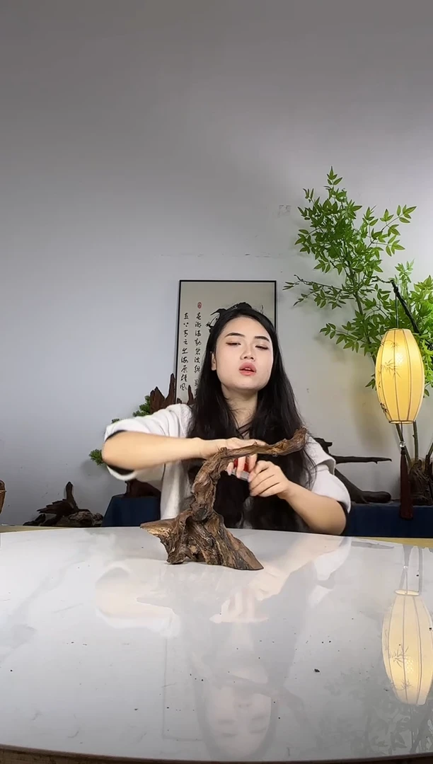 二****车拍沉木定向链接编号29