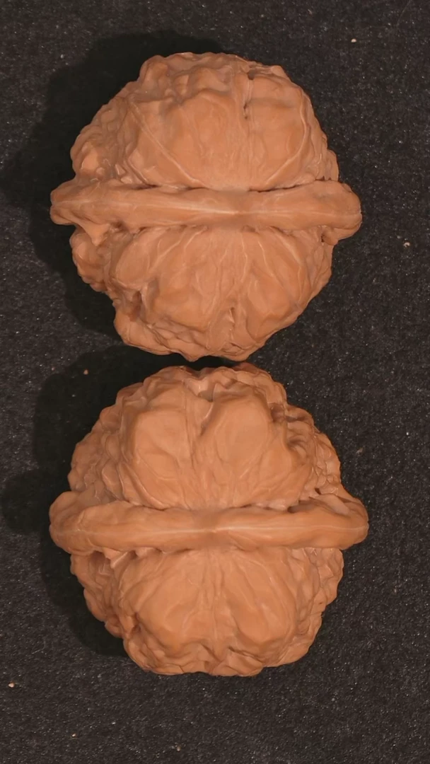 【闪购商品】文玩核桃把件蛤蟆头39全品